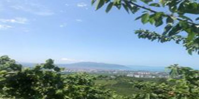 Altınordu Akçatepe Köyü