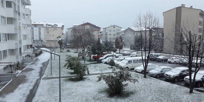 Altınordu Akyazı Köyü