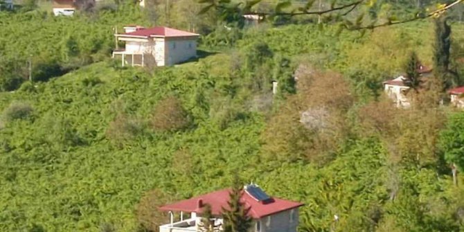 Altınordu Alembey Köyü