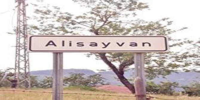 Altınordu Alisayvan Köyü
