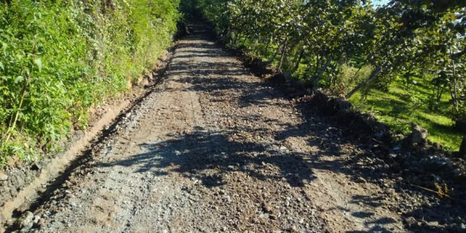 Altınordu Bahariye Köyü