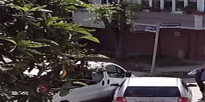 Altınordu Bahçelievler Köyü