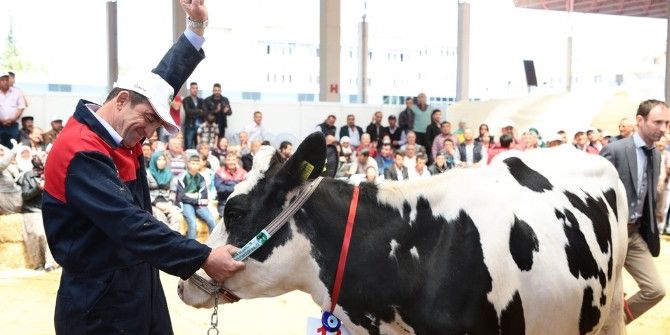 Türkiye Hayvancılık Sektörü Kuşadası’nda Buluşacak