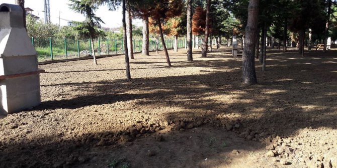 Altınordu Durugöl Köyü