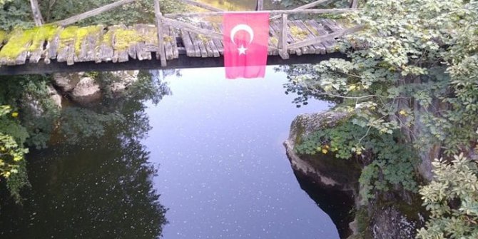 Altınordu Erenli Köyü