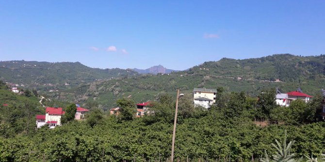 Altınordu Eyüplü Köyü