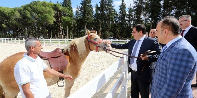 Bursa Valisi İzzettin Küçük İlçe Ziyaretlerine Devam Ediyor