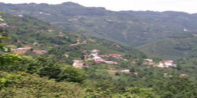 Altınordu Gerce Köyü