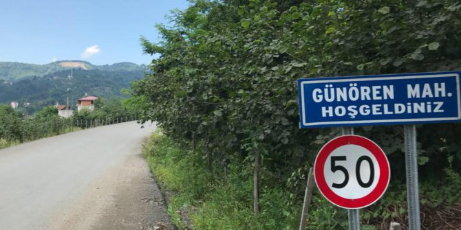 Altınordu Günören Köyü