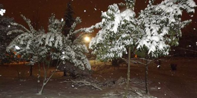 Altınordu Karşıyaka Köyü