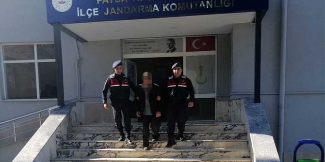 Yavru Köpekleri Öldüren Kişiye Ceza Yağdı