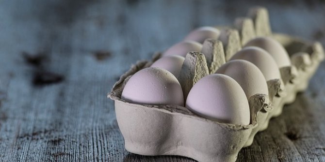 Tavuk Yumurtası Üretimi Yüzde 4,2 Arttı
