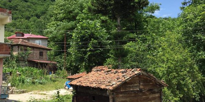 Aybastı Çukur Köyü