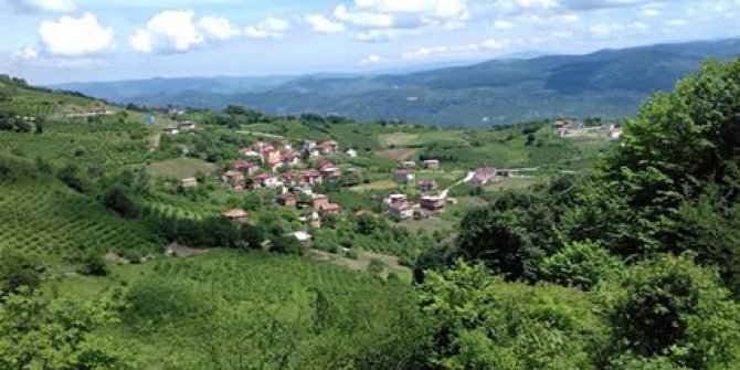 Aybastı Esenli Köyü