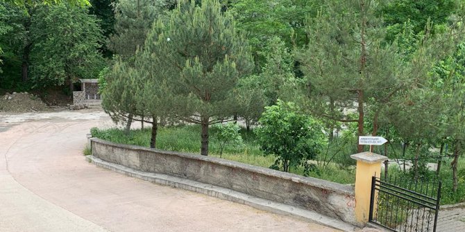 Aybastı Kayabaşı Köyü