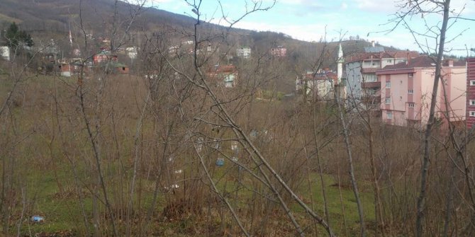 Aybastı Ortaköy Köyü