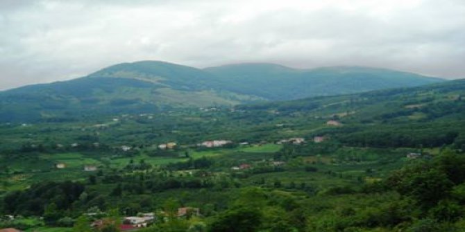 Aybastı Pelitözü Köyü