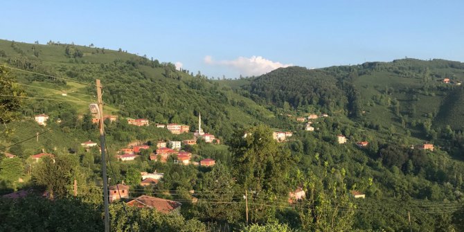 Aybastı Sarıyar Köyü