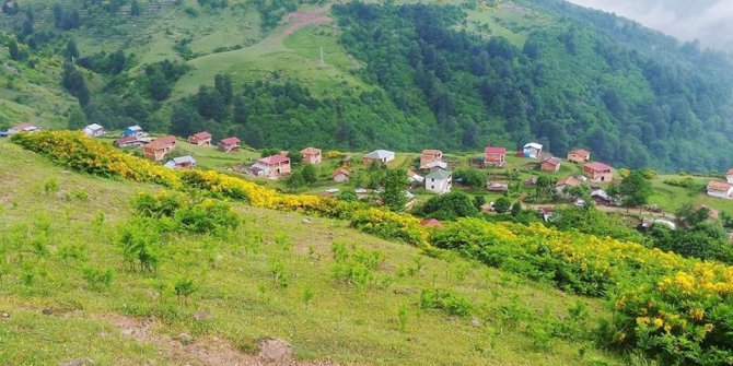 Aybastı Uzundere Köyü