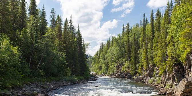 Belediyeler 4,8 Milyar Metreküp Atıksu Deşarj Etti