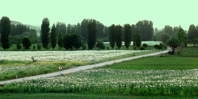 Beyşehir Bayat Köyü