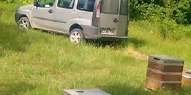 Kavak Ahırlı Köyü