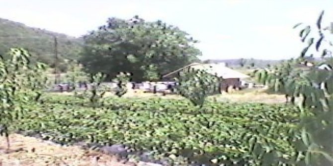 Kavak Boğaziçi Köyü