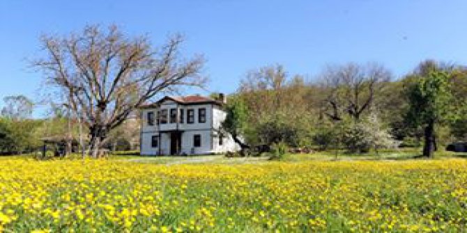 Kavak Bükcegiz Köyü