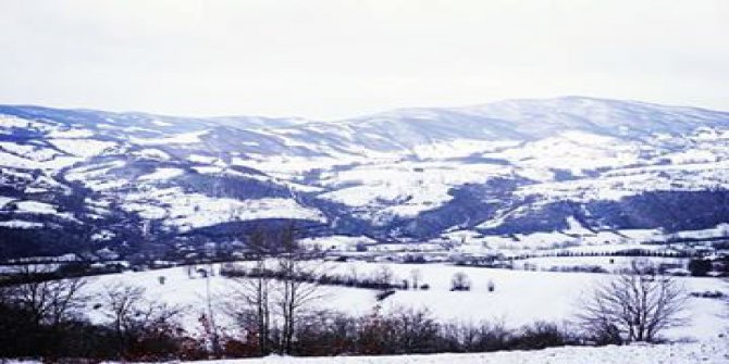 Kavak Çakallı  Köyü