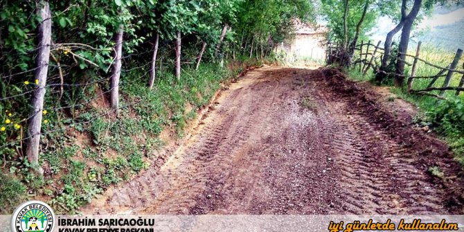 Kavak Çiçekyazı Köyü