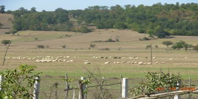 Kavak Çivril Köyü