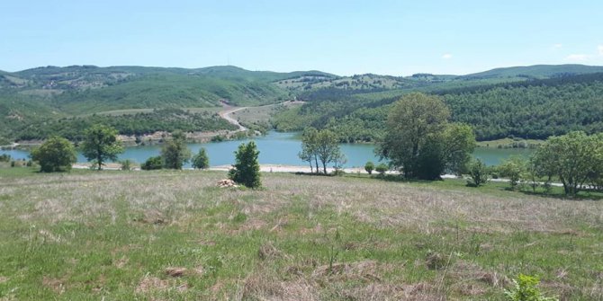 Kavak Divanbaşı Köyü