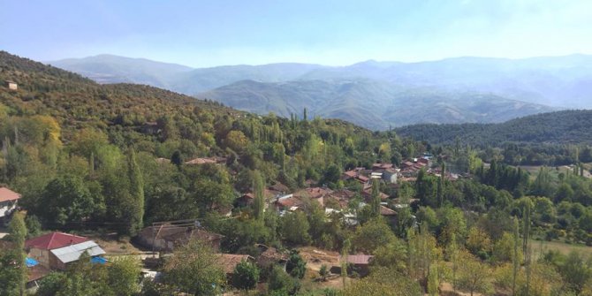 Niksar Arpaören Köyü