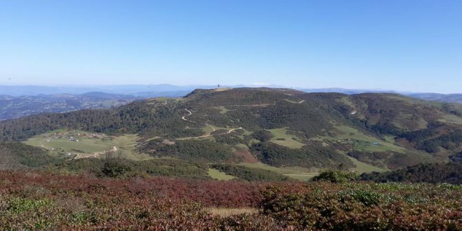 Niksar Bozcaarmut Köyü