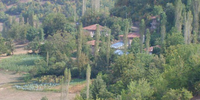 Niksar Çayköy Köyü