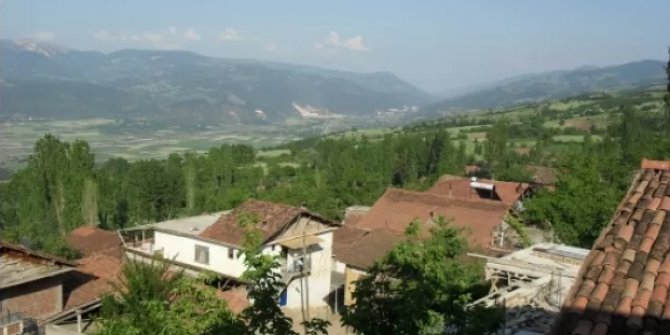 Niksar Çiçekli Köyü