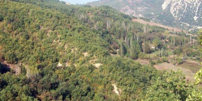 Niksar Dalkaya Köyü