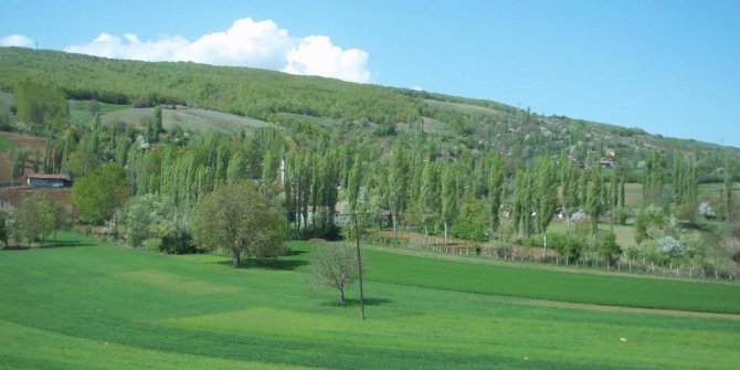 Niksar Eryaba Köyü