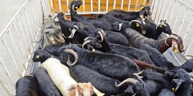 Genç Çiftçi Projeleri Tamamlandı