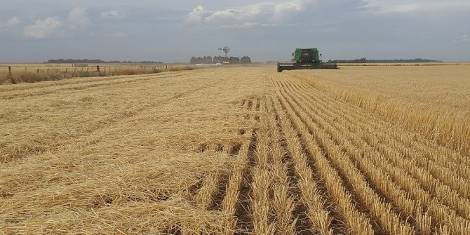 Tarım Şurası İçin 22 Binden Fazla Öneri Geldi