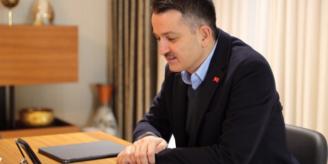 Milas Zeytin Hasat Şenliği Düzenlendi