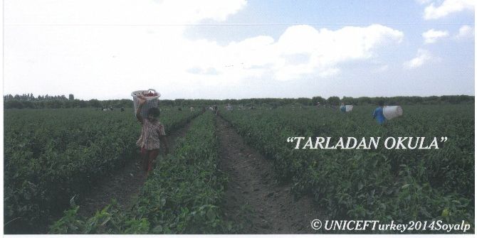 Carrefoursa’dan Unıcef’in ’Tarladan Okula’ Projesine Destek