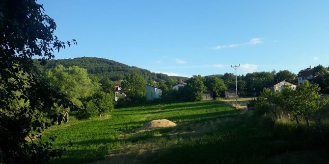 Niksar Gülbayır Köyü