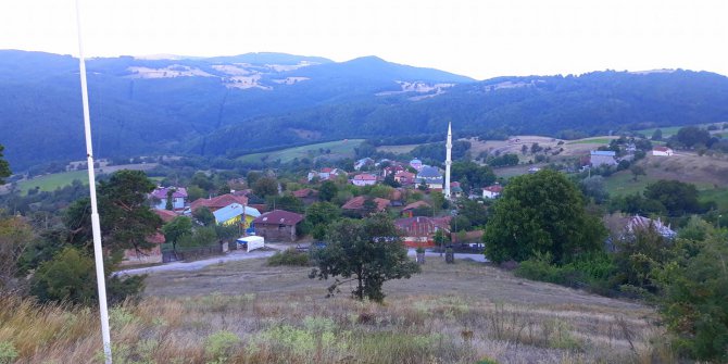 Niksar Gültepe Köyü