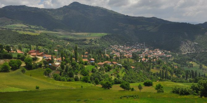 Niksar Günebakan Köyü