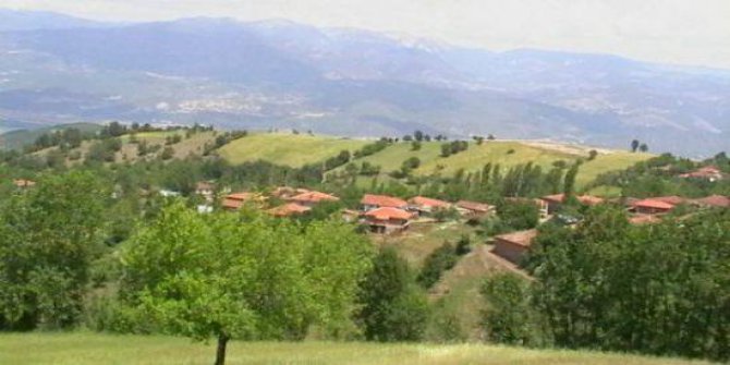 Niksar Güzelyayla Köyü