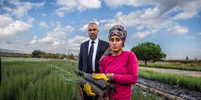 Yüz Binlerce Fidan Büyük Buluşma İçin Gün Sayıyor