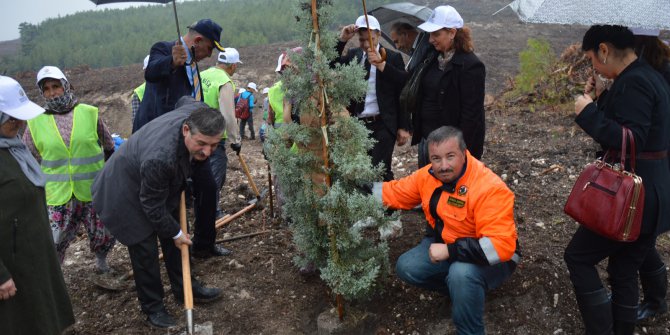 200 Bin Fidan Toprakla Buluştu