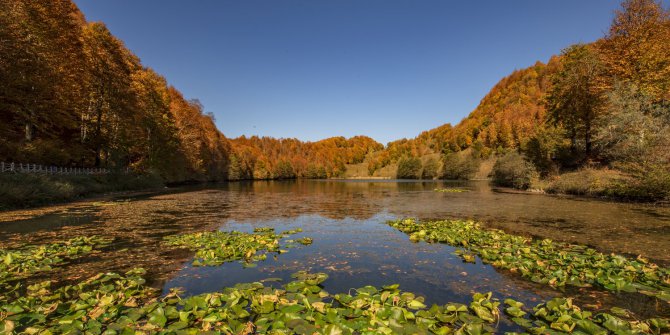 Sonbahar Ulugöl’e Çok Yakıştı