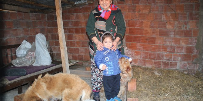 Bir Zamanlar Korktuğu Hayvanları Şimdi Sahipleniyor